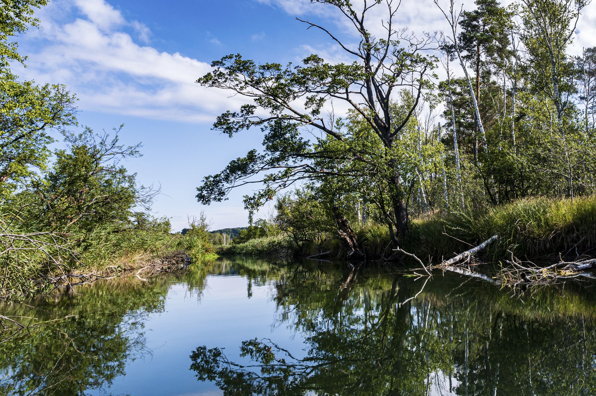 Kajaktour Leutstettner Moos 21.08.2022